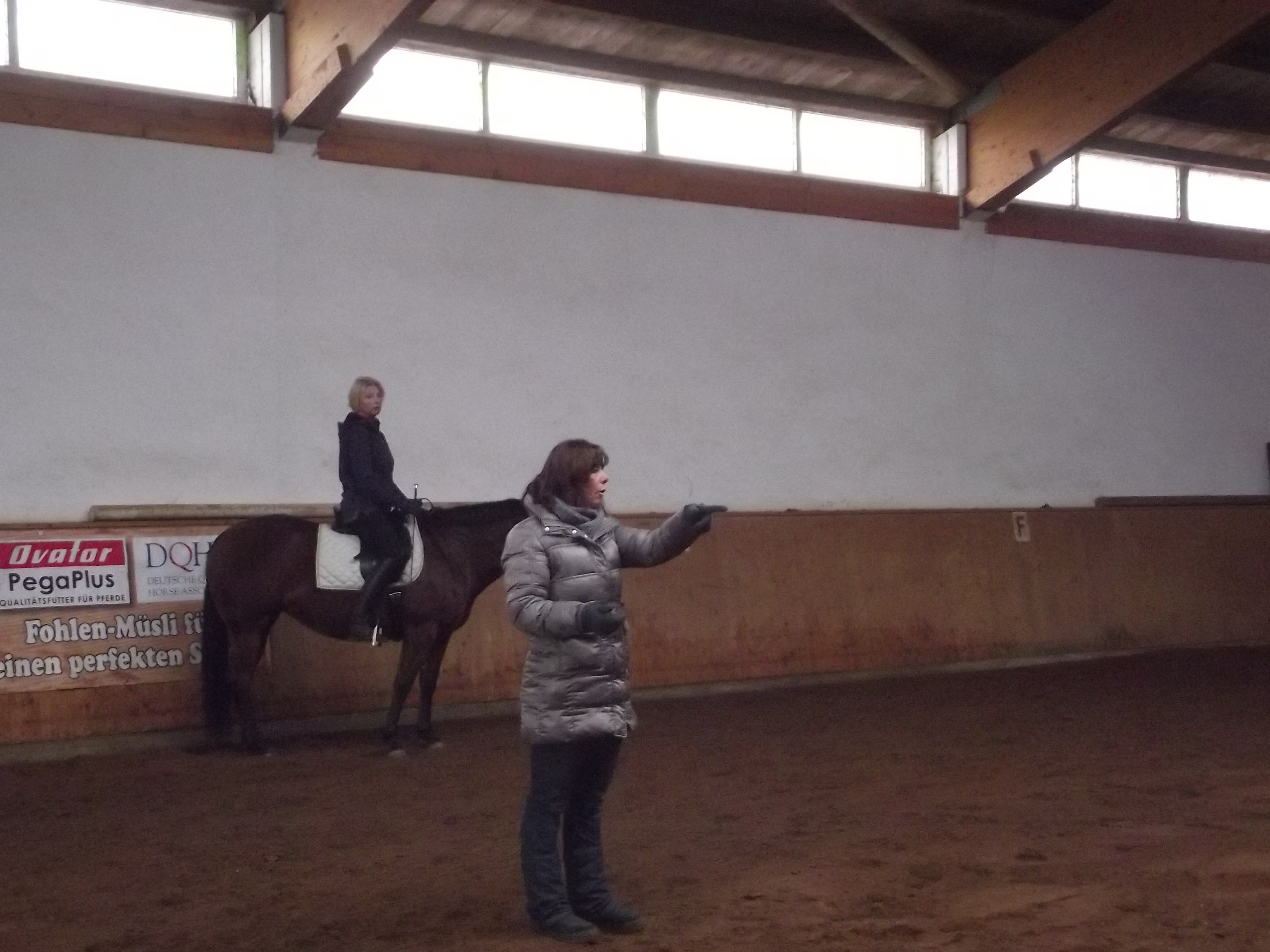 DQHA Kurs mit Andy